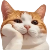 KUCING REACTION  11