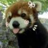 Animals present for u 8