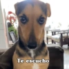 Te escucho
