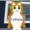 Meowl 🐱🦉 21