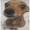 AQUELAS DE HUMOR DUVIDOSO 7