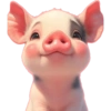 Porquinho fofinho  12