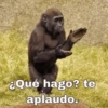 Solo Memes😌 5