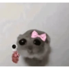 Tu gran hamsters  6