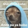 Solo Memes😌 13