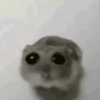 Sad🥲 13