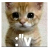 Shitpost Triste 😿 15