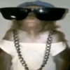 MACAQUINHOS  11