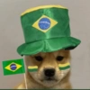 VAI BRAZA💛💚💙 9