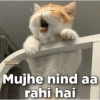 Funny quotes 🤠 10