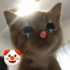Emoji 🤌😊 18