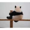 Jinmiran gfghf 23