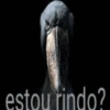 SÓ NOVIDADES / REAÇÕES  12