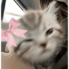 Cute stickers 14