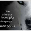 Humor duvidoso 13