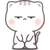 Kucing gemoy 15