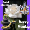 BrahmaStickers 30