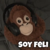 SOY FELI