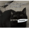 Ahorita lo arreglamos con empatía empatía