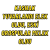 Vıddıdı 21
