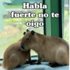 Habla fuerte no te oigo