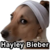 @paraguayita_01 Hayley Bieber