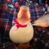 Animais de Natal 2🎄 27