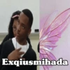 Exqiusmihada