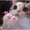 Reações de amor/fofas 11