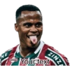 Jogadores Fluminense 12