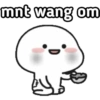 mnt wang om