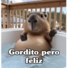 Gordito pero feliz