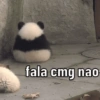 fala cmg nao
