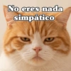 🧿 Anima tu chat😂😋 8