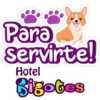 Bigotes frases 16