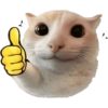 Meme Kucing Imut #4 5