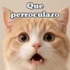 🧿 Anima tu chat😂😋 10