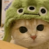 🐈Gatitos Super Cute 💛💟 28