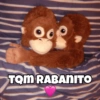 TOM RABANITO