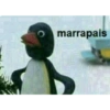 Aaaaaaa 23