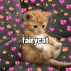 Cute stickers 12