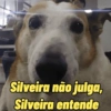 Silveira não julga, Silveira entende