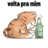 Gatos cantadas 8