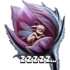 Magic bunny sleeping 🐰💤✨️ 16