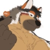 Random & Furry 23