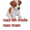 SÓ NOVIDADES / REAÇÕES  7