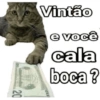 SÓ NOVIDADES / REAÇÕES  6