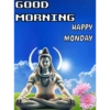 BrahmaStickers 24