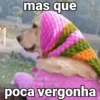 mas que poca vergonha
