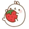 －  〭  ౨ৎ Fresas 27